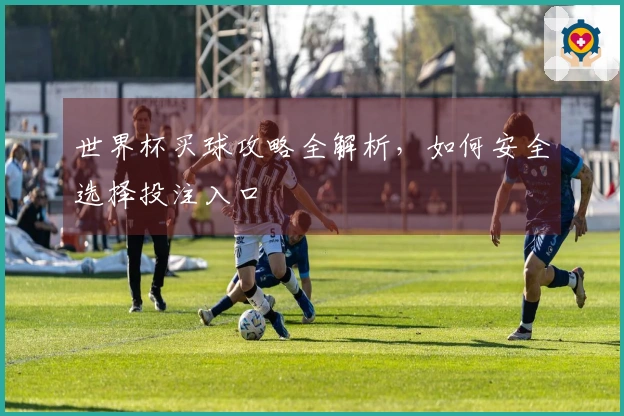 世界杯买球攻略全解析，如何安全选择投注入口