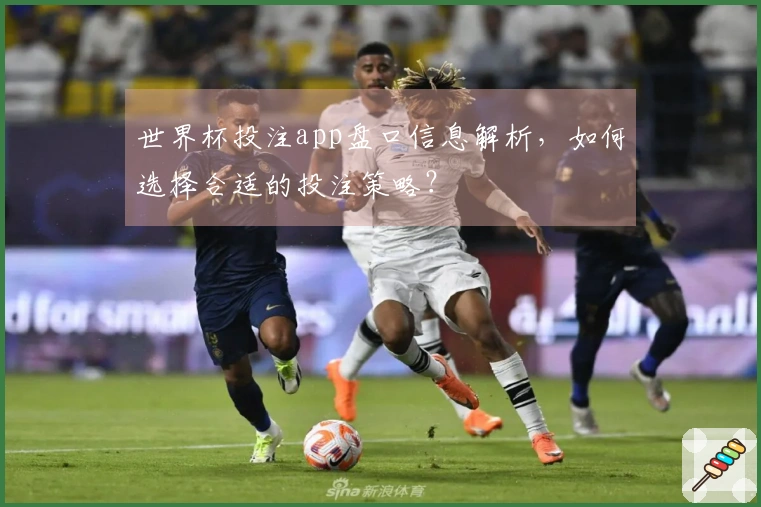世界杯投注app盘口信息解析，如何选择合适的投注策略？