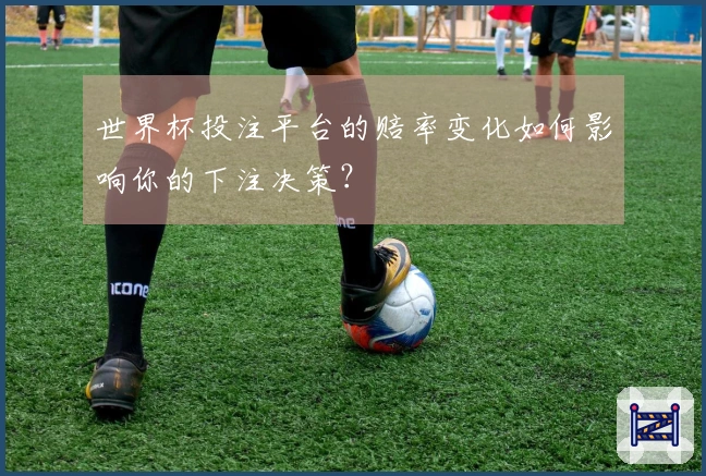 世界杯投注平台的赔率变化如何影响你的下注决策？