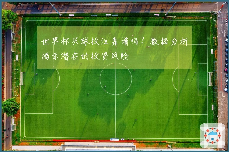 世界杯买球投注靠谱吗？数据分析揭示潜在的投资风险