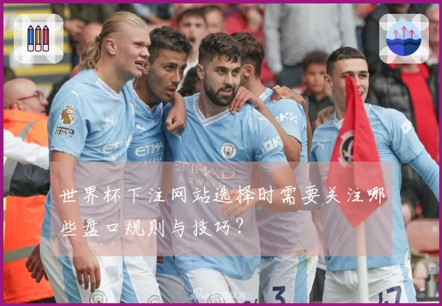世界杯下注网站选择时需要关注哪些盘口规则与技巧？