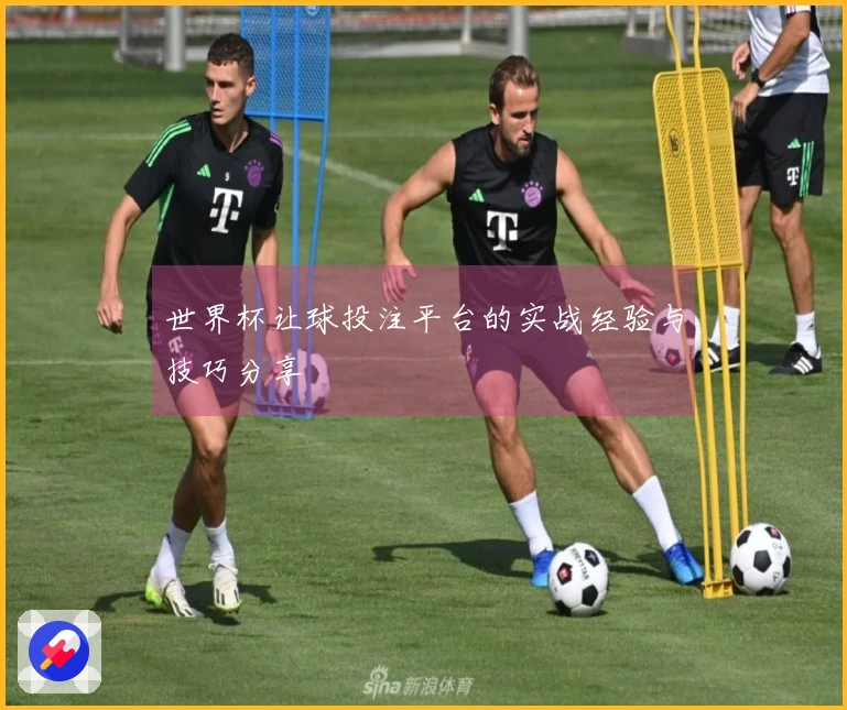 世界杯让球投注平台的实战经验与技巧分享