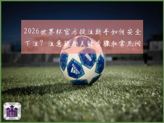 2026世界杯官方投注新手如何安全下注？注意这些关键步骤和常见问题