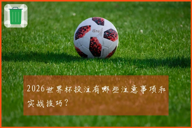 2026世界杯投注有哪些注意事项和实战技巧？