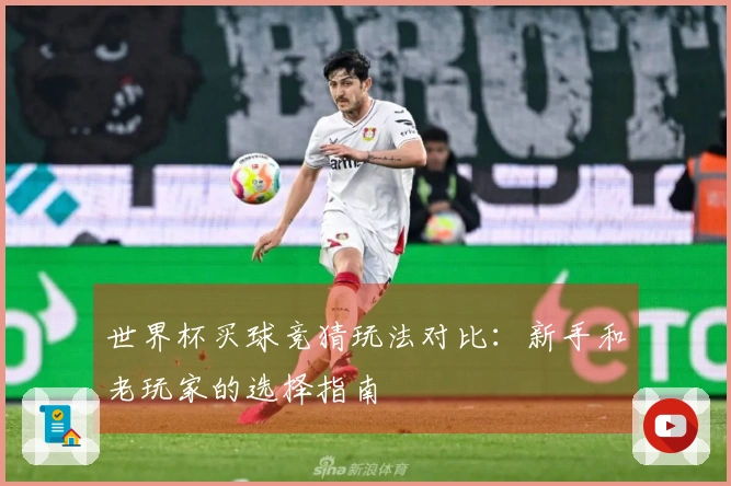 世界杯买球竞猜玩法对比：新手和老玩家的选择指南