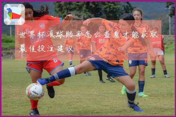世界杯滚球赔率怎么查看才能获取最佳投注建议