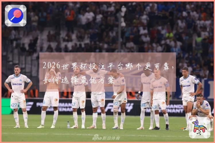 2026世界杯投注平台哪个更可靠，如何选择最优方案