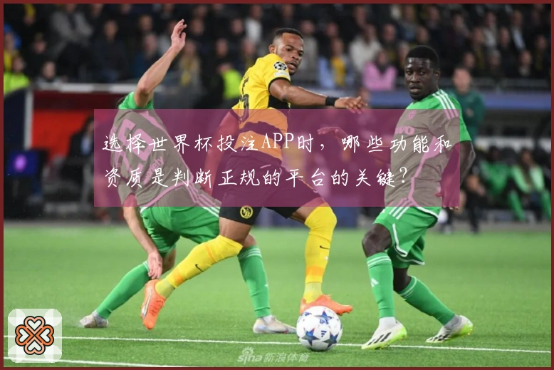 选择世界杯投注APP时，哪些功能和资质是判断正规的平台的关键？