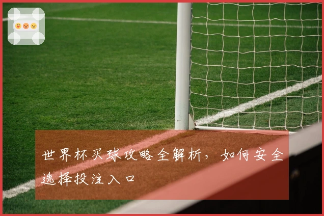 世界杯买球攻略全解析，如何安全选择投注入口