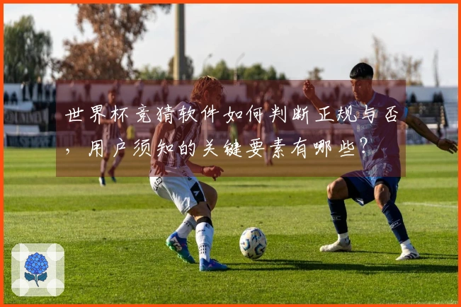 世界杯竞猜软件如何判断正规与否，用户须知的关键要素有哪些？