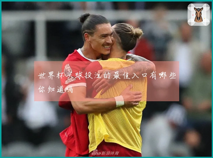 世界杯买球投注的最佳入口有哪些你知道吗