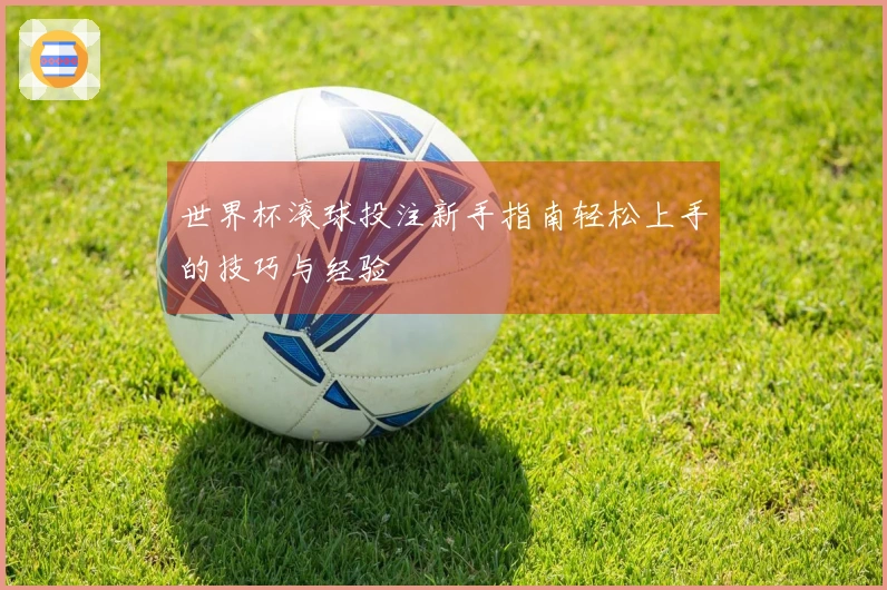 世界杯滚球投注新手指南轻松上手的技巧与经验