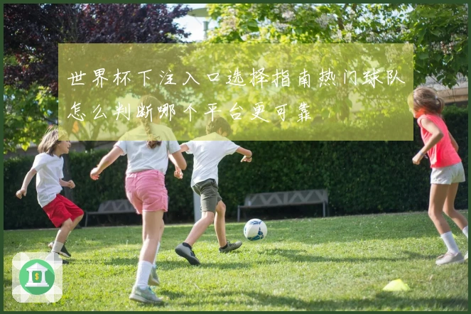 世界杯下注入口选择指南热门球队怎么判断哪个平台更可靠