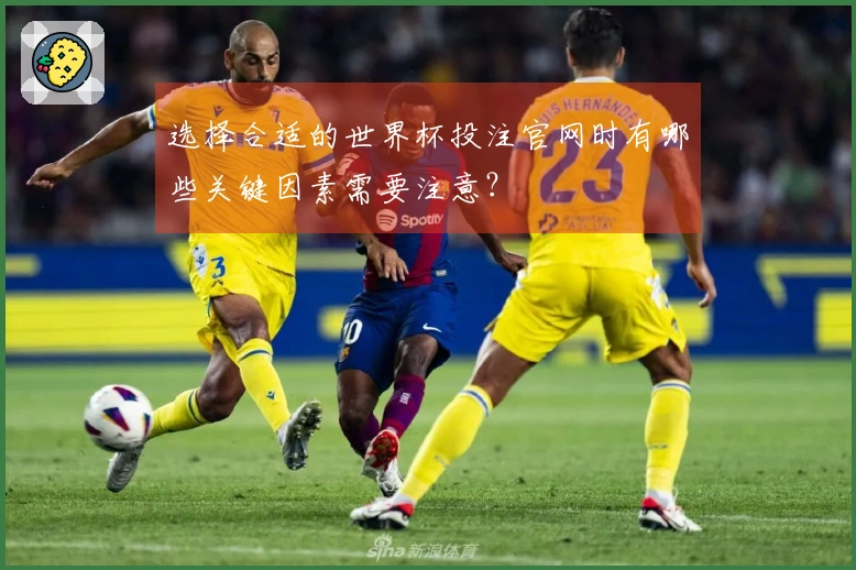 选择合适的世界杯投注官网时有哪些关键因素需要注意？