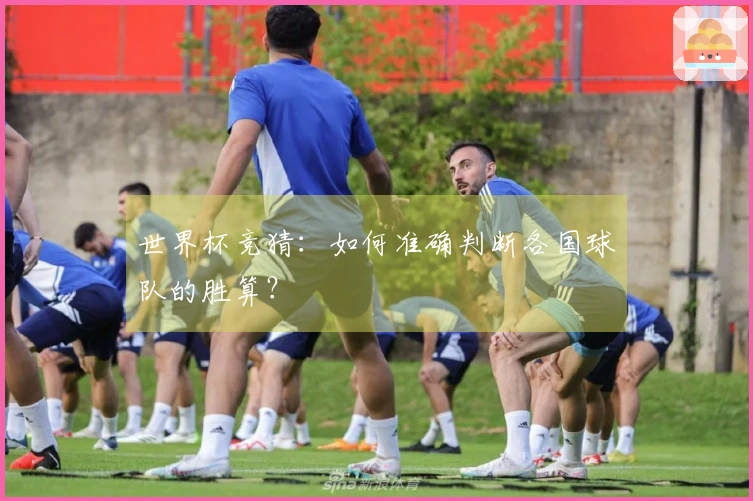 世界杯竞猜：如何准确判断各国球队的胜算？