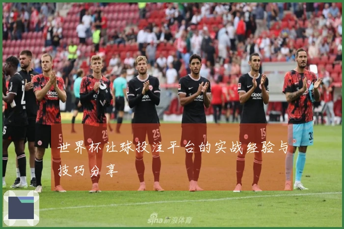 世界杯让球投注平台的实战经验与技巧分享