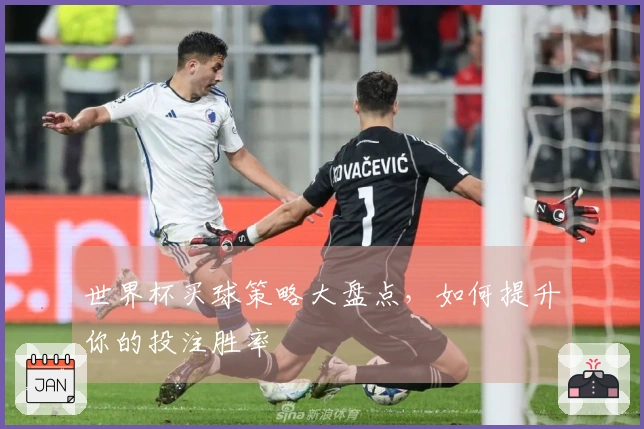 世界杯买球策略大盘点，如何提升你的投注胜率