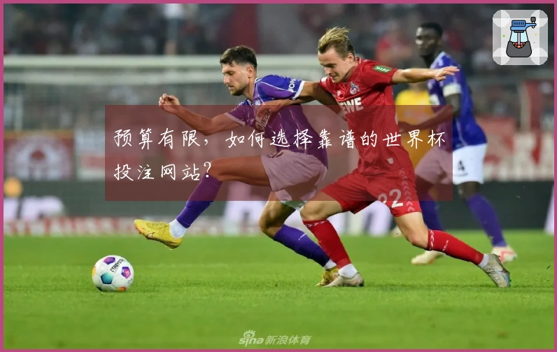 预算有限，如何选择靠谱的世界杯投注网站？