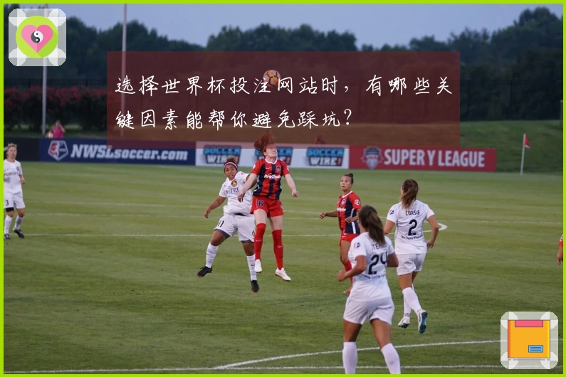 选择世界杯投注网站时，有哪些关键因素能帮你避免踩坑？