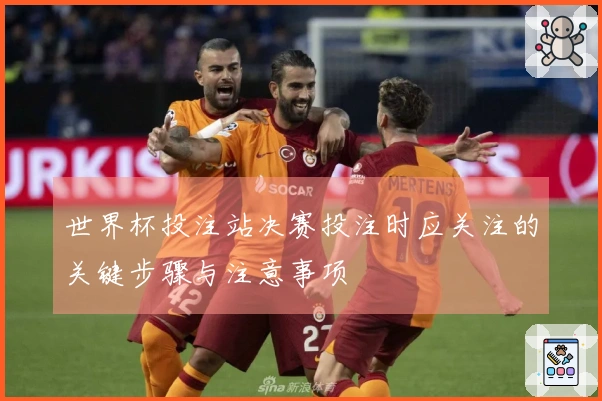 世界杯投注站决赛投注时应关注的关键步骤与注意事项