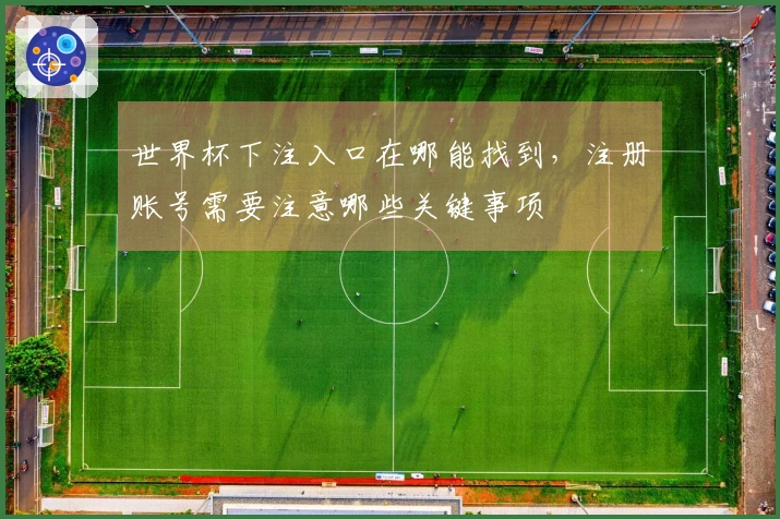 世界杯下注入口在哪能找到，注册账号需要注意哪些关键事项