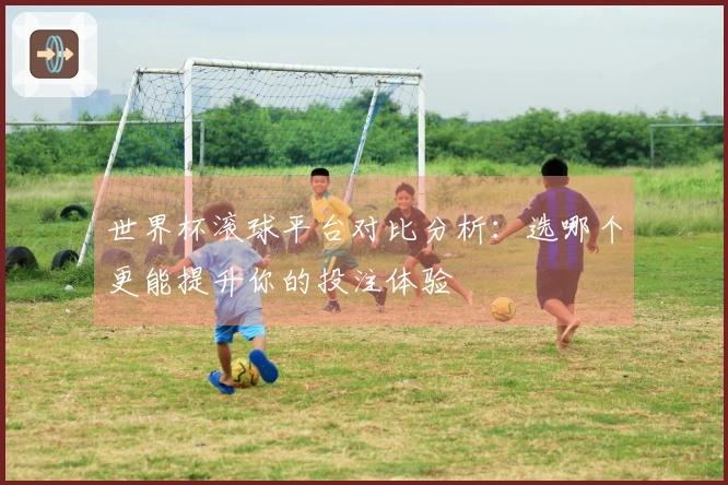 世界杯滚球平台对比分析：选哪个更能提升你的投注体验