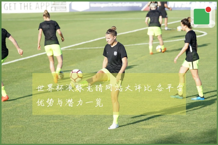 世界杯滚球竞猜网站大评比 各平台优势与潜力一览