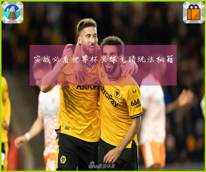 实战必看世界杯买球竞猜玩法秘籍