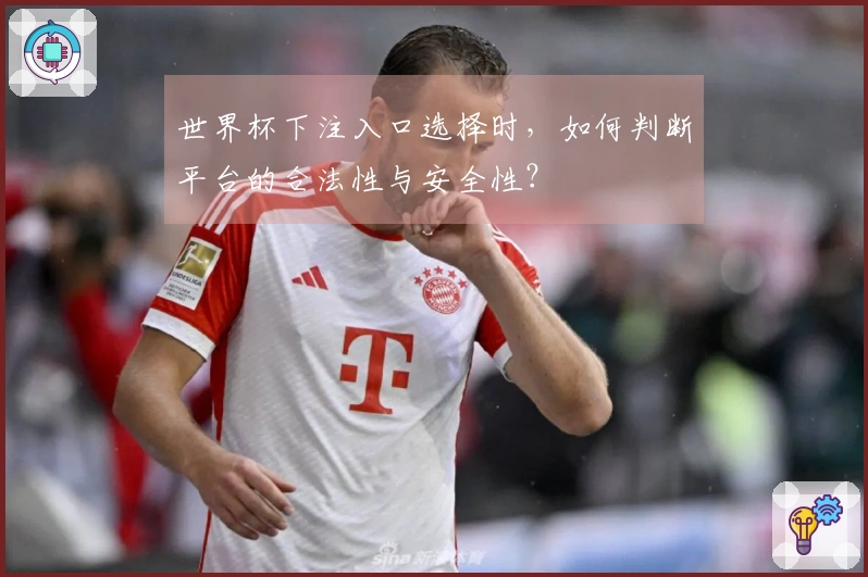 世界杯下注入口选择时，如何判断平台的合法性与安全性？