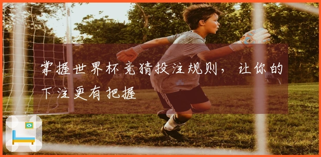 掌握世界杯竞猜投注规则，让你的下注更有把握