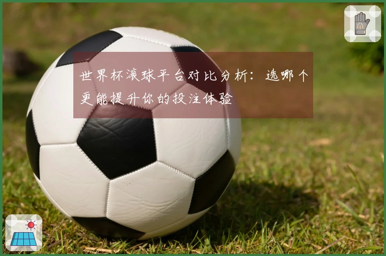 世界杯滚球平台对比分析：选哪个更能提升你的投注体验