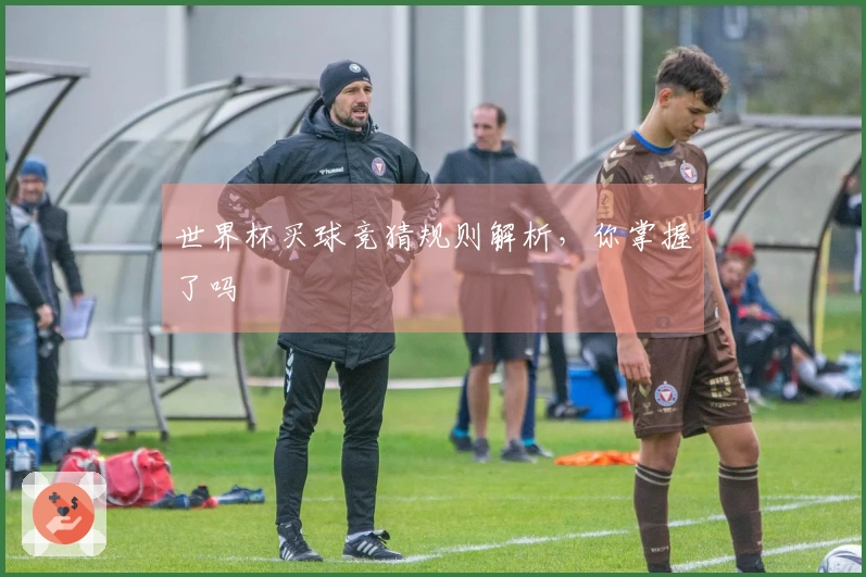世界杯买球竞猜规则解析，你掌握了吗