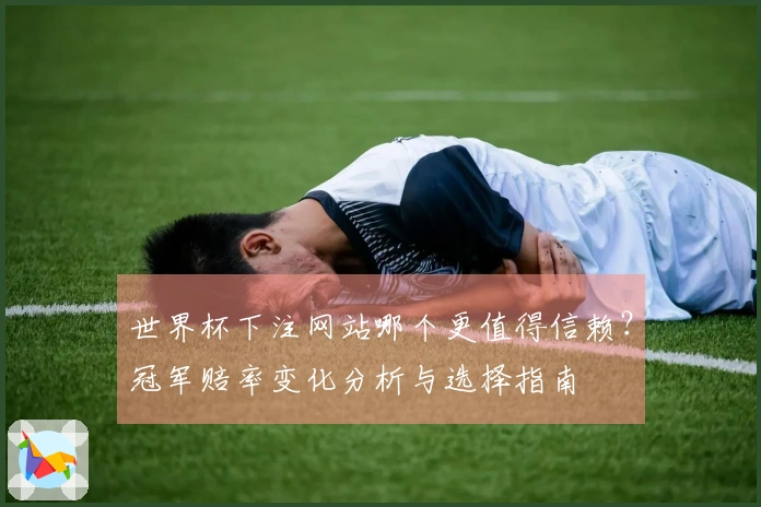 世界杯下注网站哪个更值得信赖？冠军赔率变化分析与选择指南