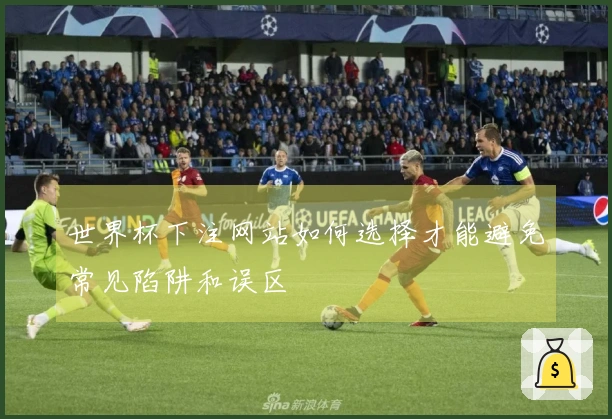 世界杯下注网站如何选择才能避免常见陷阱和误区